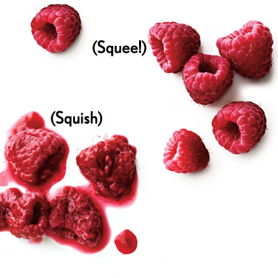 1208p158-oops-mushy-berries-l