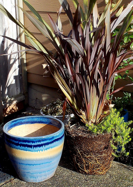 how to decorate plant pots